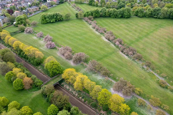 Kuzey Yorkshire 'daki Harrogate kasabasında ilkbaharda güzel çiçek ağaçlarının hava manzarası ağaçlarla çevrili taze kesilmiş çimenleri ve tren raylarını gösteriyor.