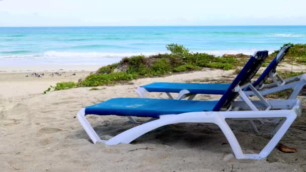 キューバのバラデロにあるキューバビーチの美しいビーチフロントは 8Kの品質で撮影された砂のビーチで2つのデッキチェアで波ときれいな海を示しています — ストック動画