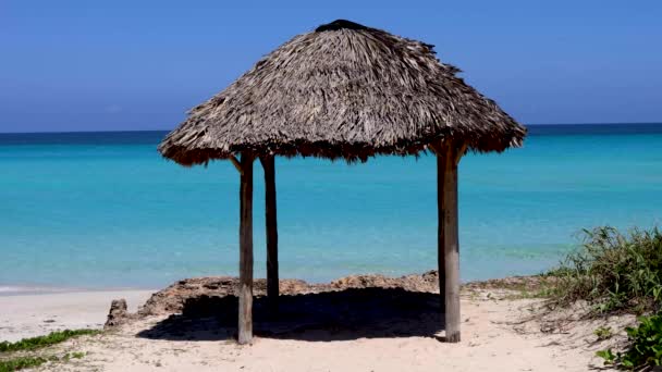 キューバのバラデロにあるキューバビーチの美しいビーチフロントは 晴れた夏の日に夏の時間に8Kの映像で撮影された海によって木製の太陽の日陰の衝撃を示しています — ストック動画