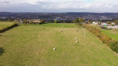Batı Yorkshire 'daki Huddersfield kasabasının insansız hava aracı görüntüleri, İngiltere' nin eski kulübelerini ve sonbaharda tarlada otlayan hayvanlarla dolu bir çiftçi tarlasını gösteriyor..