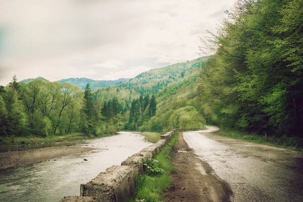 Krajina se stromy hory a řeky vpředu Royalty Free Stock Obrázky