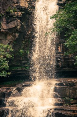 Jungle Waterfall