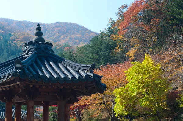 Asian Pagoda — Stock Photo, Image