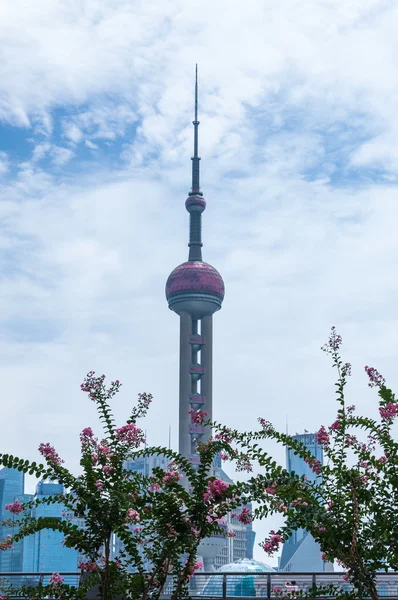 Oriental Pearl Tower — Stockfoto