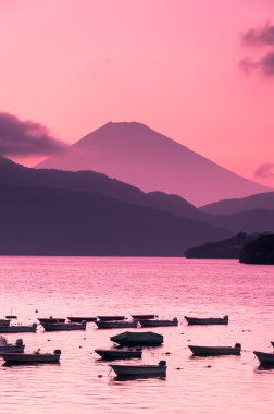 Fuji Dağı