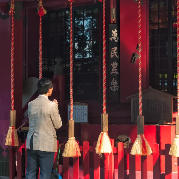 Sanktuarium Hakone — Zdjęcie stockowe