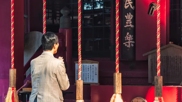 Hakone svatyně — Stock fotografie