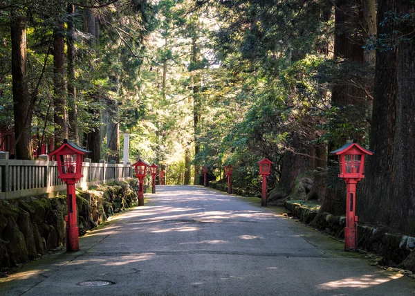 Hakone heiligtum — Stockfoto