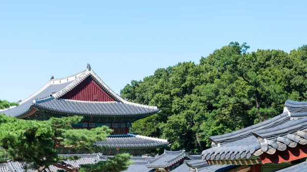 Παλάτι changdeokgung — Φωτογραφία Αρχείου