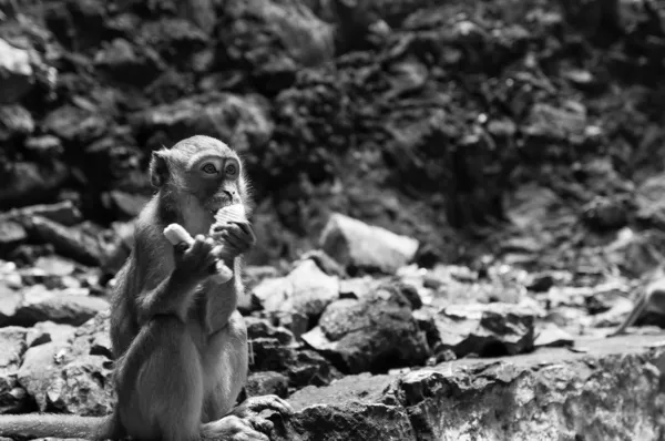 Batu Caves — Stock Photo, Image