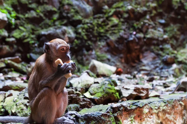 Cavernas de Batu — Fotografia de Stock