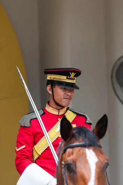 Guardias reales — Foto de Stock