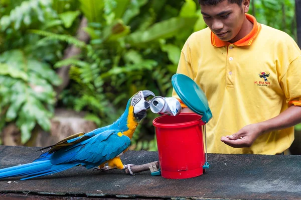 Kl parque de pássaros — Fotografia de Stock