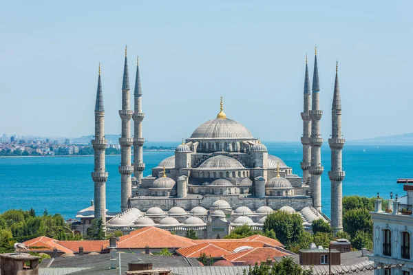Mezquita azul —  Fotos de Stock