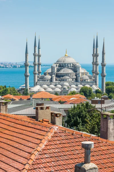 Mesquita azul — Fotografia de Stock