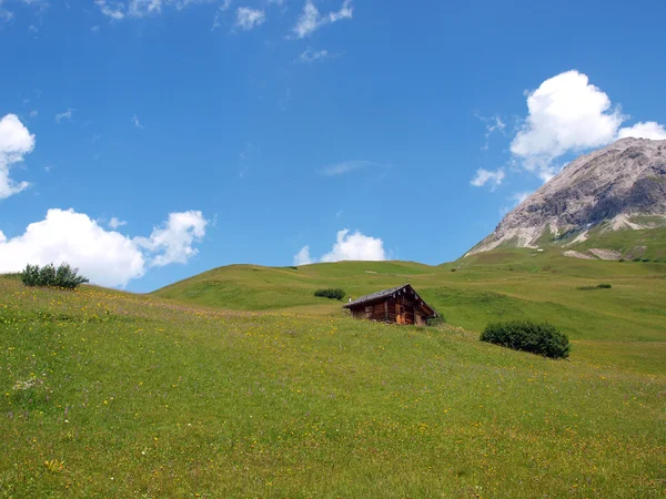 Cabana nos alpes — Fotografia de Stock