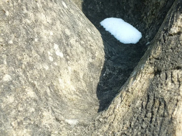 ayrıntılı bir taş heykel