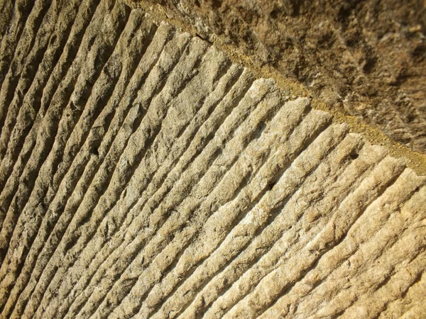 ayrıntılı bir taş heykel