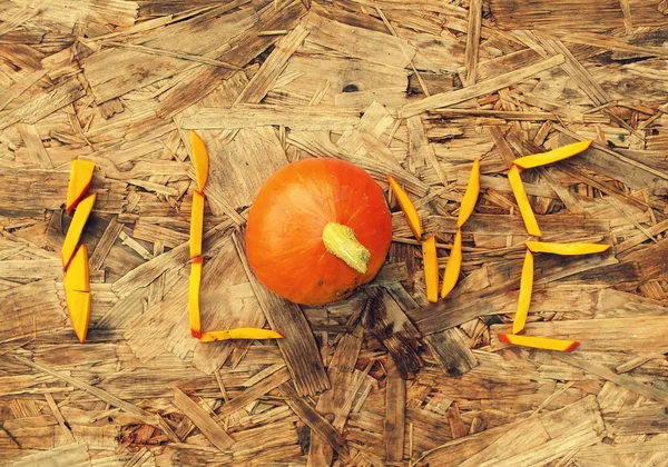 sonbahar Bahçe - hokkaido kabak