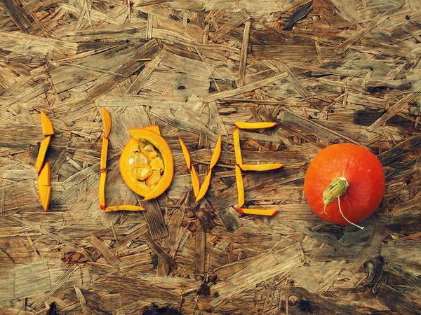 sonbahar Bahçe - hokkaido kabak