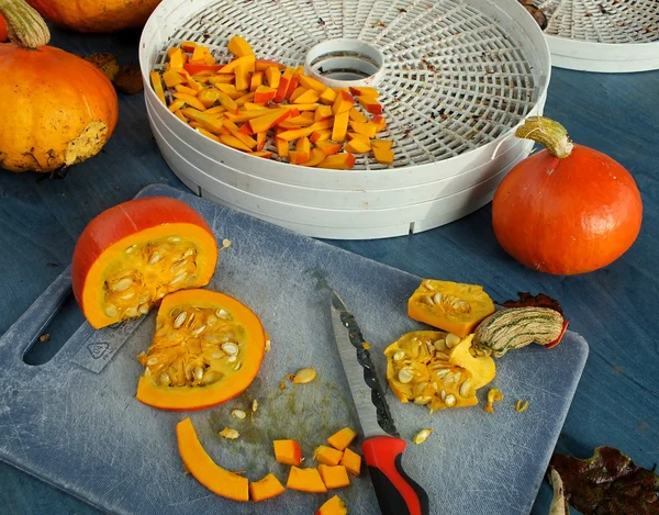 sonbahar Bahçe - hokkaido kabak, elma ve ceviz