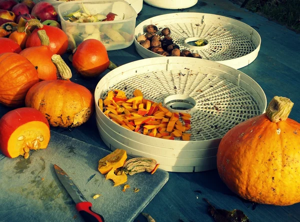 Herfst in de tuin - hokkaido pompoen, appels en noten Stockfoto