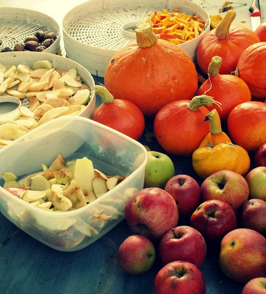 Otoño en el jardín - calabaza hokkaido, manzanas y frutos secos Imágenes De Stock Sin Royalties Gratis