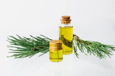 Küçük bir cam şişede fidan ya da çam yağı özü ve beyaz arka planda bir köknar dalı. İzole edilmiş.