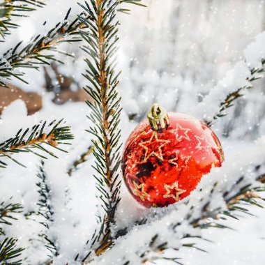 Karla kaplı ladin dalında yıldızlı kırmızı top. Yeni yıl ve Noel konsepti