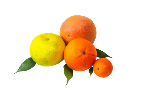 Group Citrus Fruits White Background White Background Orange Grapefruit Tangerine — Stock Photo, Image