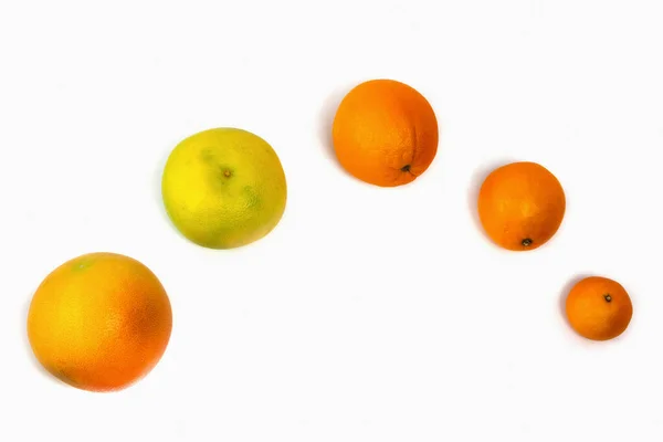 Group Citrus Fruits Laid Out White Background White Background Orange — Fotografia de Stock