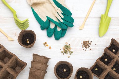 Kömür tencereleri, aletler ve toprak tohum ekmek için hazır. Bahçe işleri için fidanlar yetiştiriyorum. Düz Düzen.