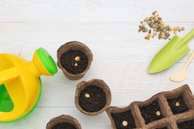 Tohumlar, turba kapları, ahşap bir arka planda sulama kutusu. Tohum yetiştiriyorlar. Bahar ve yaz bahçıvanlığına hazırlanıyorum.