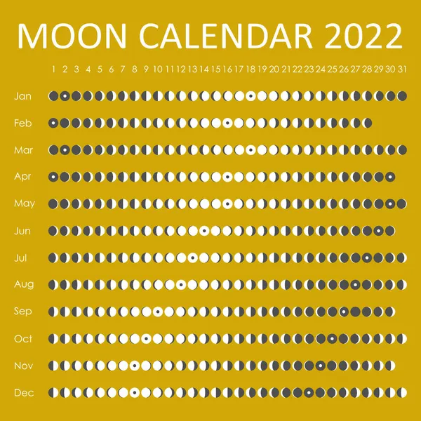 2022 Calendario lunar. Diseño del calendario astrológico. Planificador. Lugar para pegatinas. Mes planificador de ciclos maqueta. Símbolos aislados en blanco y negro sobre fondo de color — Vector de stock