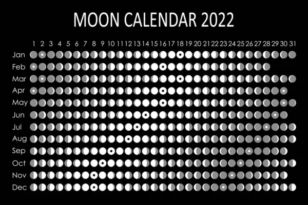 2022 Calendario lunar. Diseño del calendario astrológico. Planificador. Lugar para pegatinas. Mes planificador de ciclos maqueta. Fondo blanco y negro aislado — Vector de stock