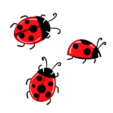 Bir çift çizgi film uğurkuşu maskotu. Küçük uğur böcekleri uçuyor. Vektör karakterler. Ensest ikonu. Davetiye için şablon tasarımı, kartlar. Doodle tarzı