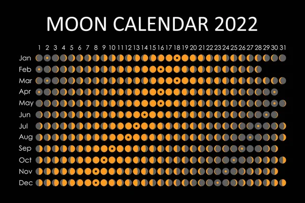 2022 Calendario lunar. Diseño del calendario astrológico. Planificador. Lugar para pegatinas. Mes planificador de ciclos maqueta. Fondo blanco y negro aislado — Vector de stock