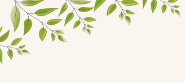 Yeşil egzotik yapraklı çiçek web afişi. Doğa konsepti tasarımı. Yaz dallı modern çiçek kompozisyonları. Ekoloji, natura, çevre teması üzerine vektör illüstrasyonu