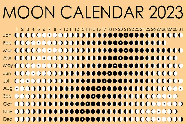 2023 Moon calendar. Astrological calendar design. planner. Place for stickers. Month cycle planner mockup. Isolated black and white vector illustration — Vector de stock