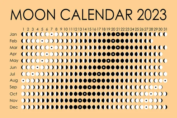 2023 Moon calendar. Astrological calendar design. planner. Place for stickers. Month cycle planner mockup. Isolated black and white vector illustration — Vector de stock