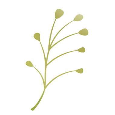 El çizimi renk yaprağı. Sevimli yalıtılmış element. Modern çiçek kompozisyonları. Tropik yeşil dallar. Vektör hisse senedi çizimi. Kırtasiye için klip sanatı, web tasarımı, duvar kağıdı, kart