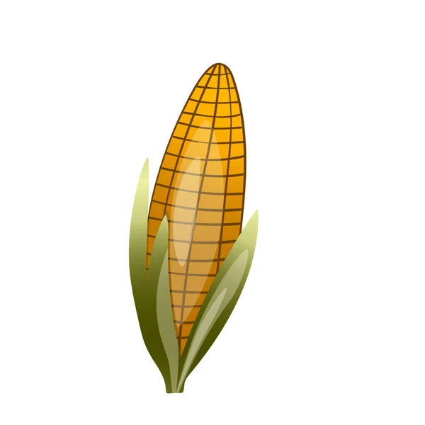 Сладкая золотистая кукуруза изолирована на белом фоне. Летние элементы дизайна фермы. Естественные свежие яркие вкусные кукурузы. Шаблон векторной иллюстрации для упаковки, карточки и других конструкций. Концепция питания. — стоковый вектор