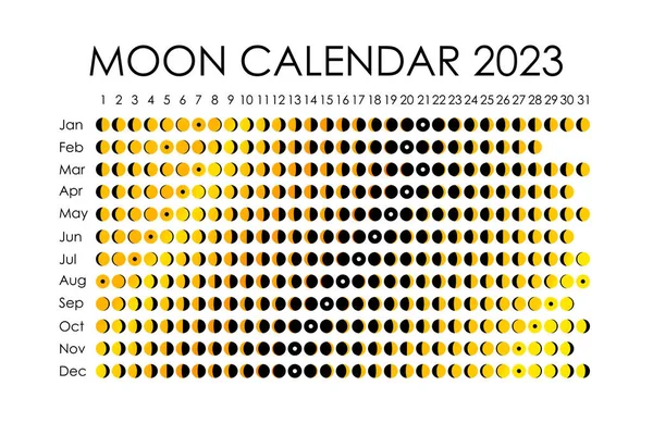 Calendrier lunaire 2023. Conception de calendrier astrologique. planificateur. Place pour autocollants. Modélisation du planificateur du cycle du mois. Fond noir et blanc isolé — Image vectorielle