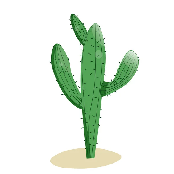 Grand cactus succulent avec des épines élément isolé. Illustration vectorielle de dessin pour icône, jeu, emballage, bannière. Far west, western, concept de cow-boy — Image vectorielle