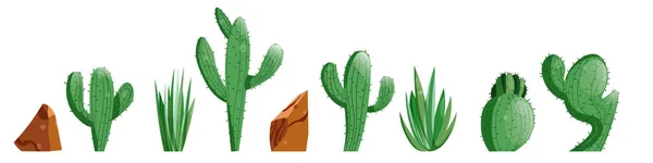 Grand cactus succulent avec des épines et des éléments isolés de pierre. Illustration vectorielle pour icône, jeu, emballage, bannière. Far west, western, concept de cow-boy — Image vectorielle