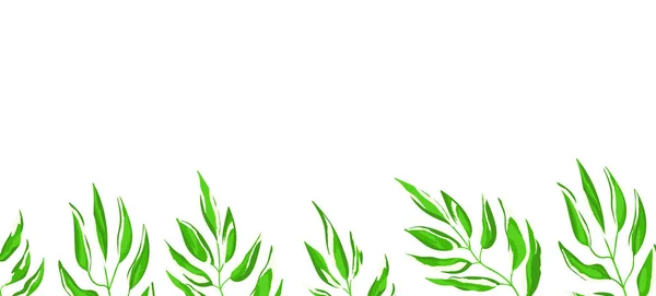 Banner web floral com folhas exóticas de cor desenhada. Design de conceito de natureza. Composições florais modernas com ramos de verão. Ilustração vetorial sobre o tema ecologia, natura, meio ambiente — Vetor de Stock