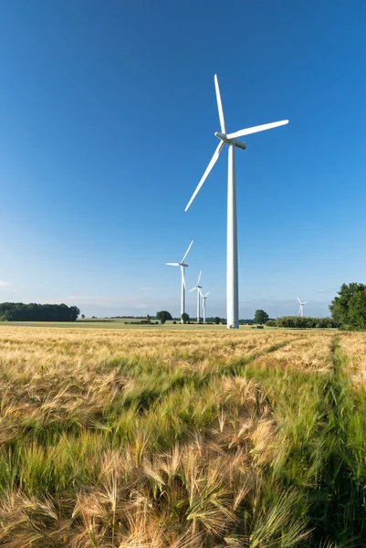 Windfarm — Stock Photo, Image