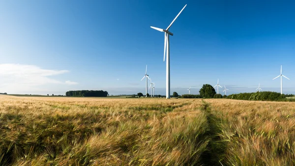 Windfarm — Stock Photo, Image