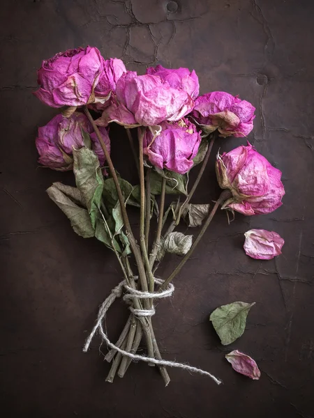Dry Roses on Leather — Stock Photo, Image