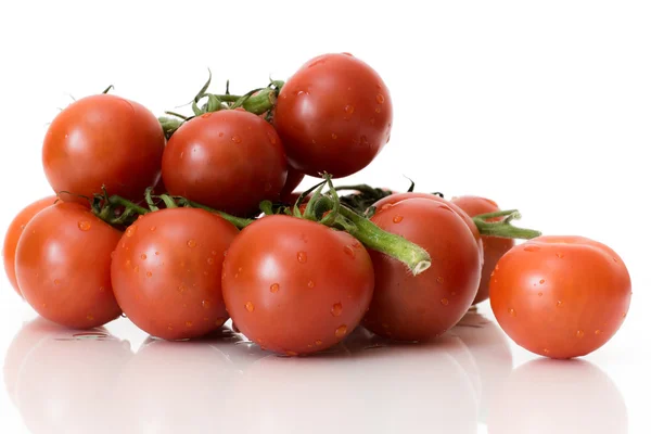 Tomaten — Stockfoto